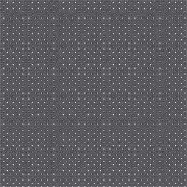 TULA PINK GRAYWORK - TINY DOTS - CARBON